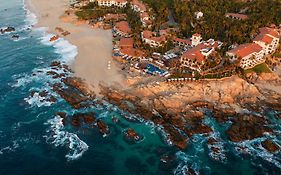 ون آند أونلي بالميلا